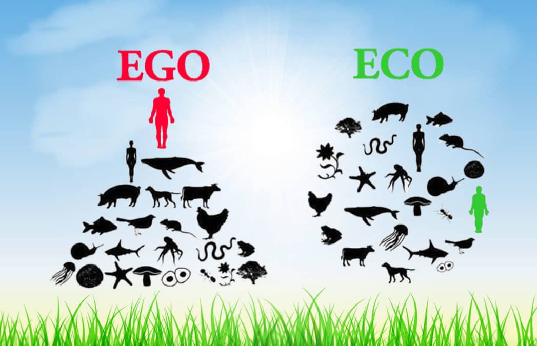 Ego vs Eco