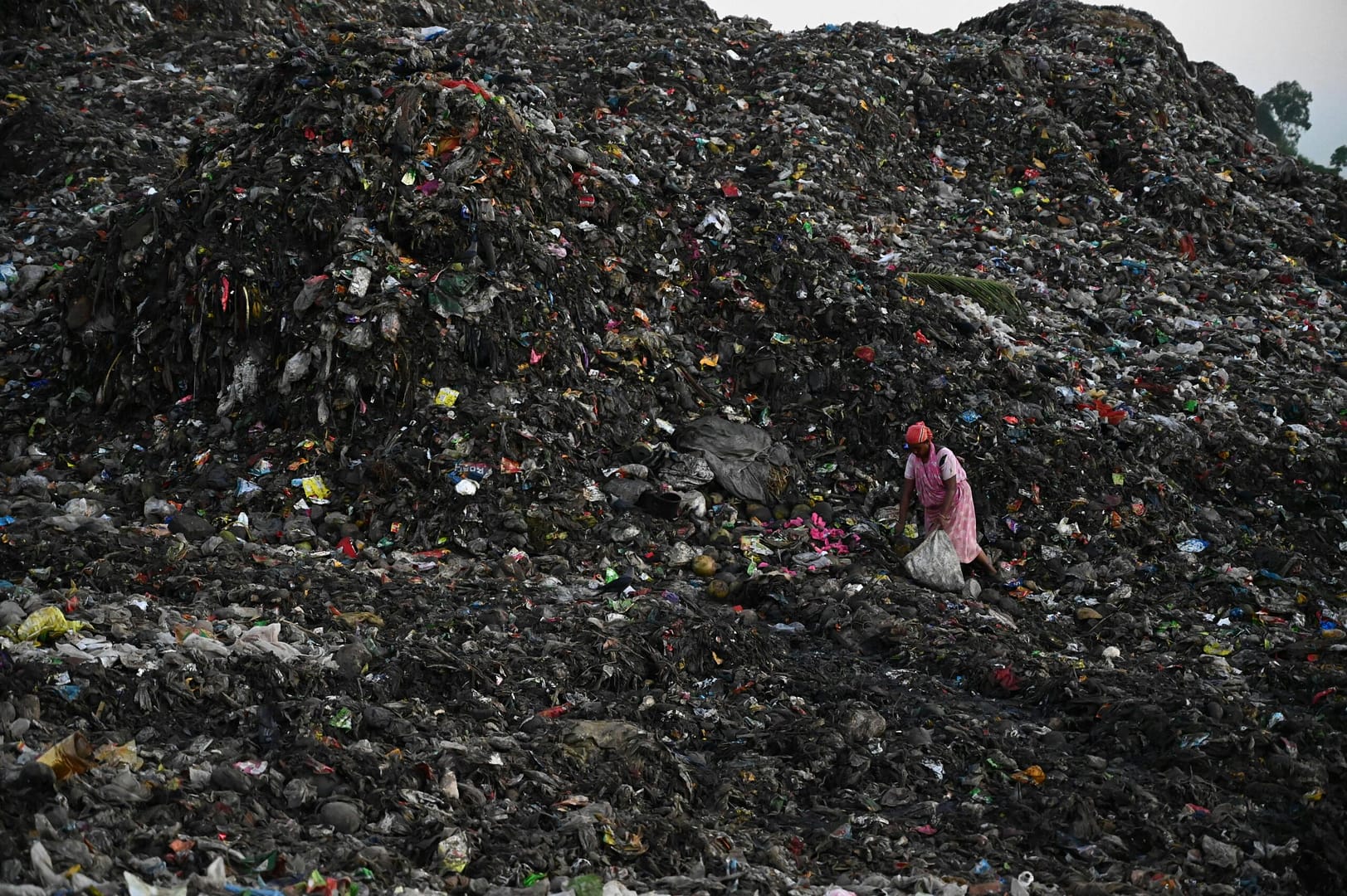 Battling Plastic Pollution: India's Struggle with Single-Use Plastics